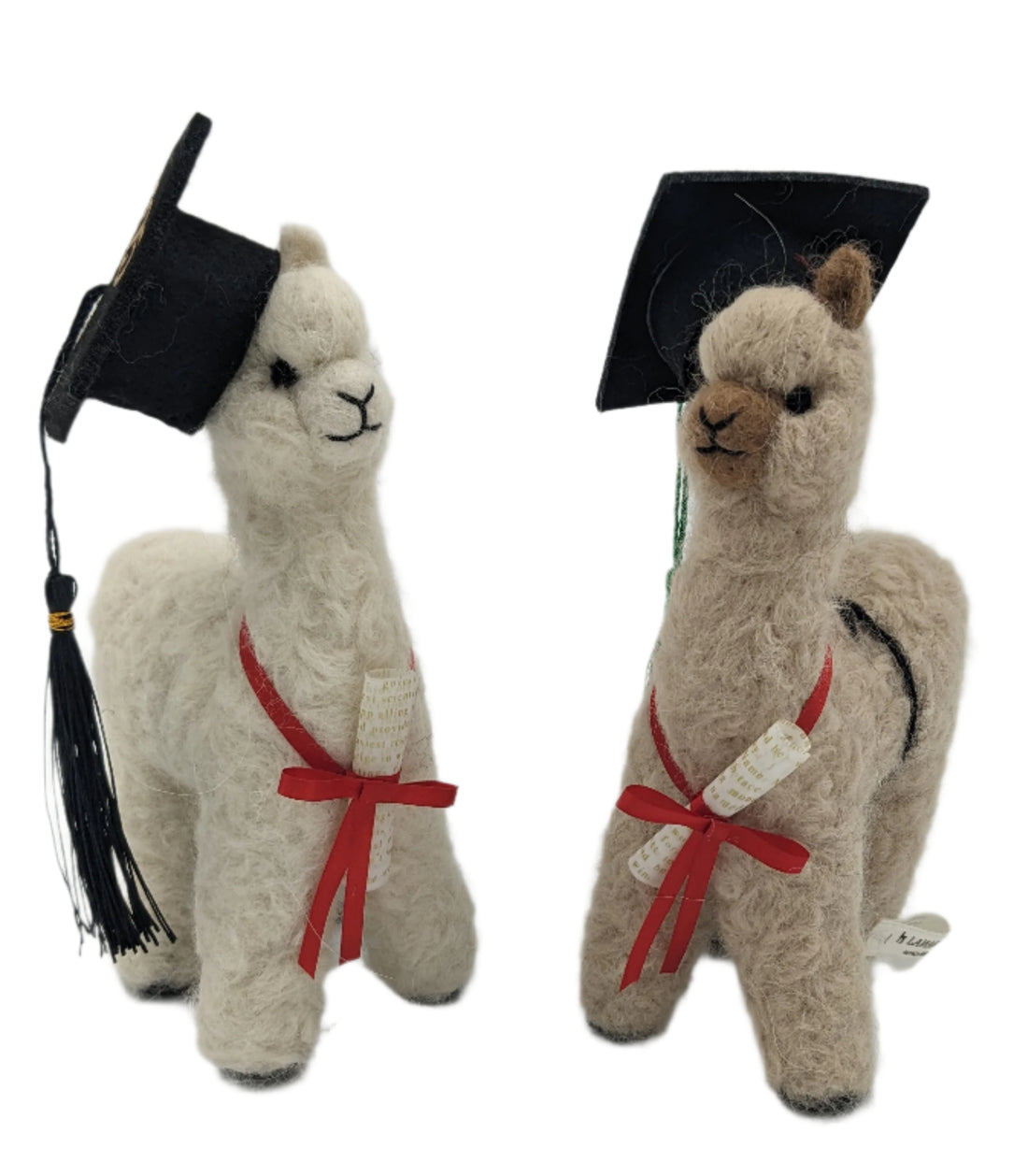 Graduation Alpaca