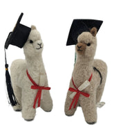 Graduation Alpaca - Lanart Alpaca