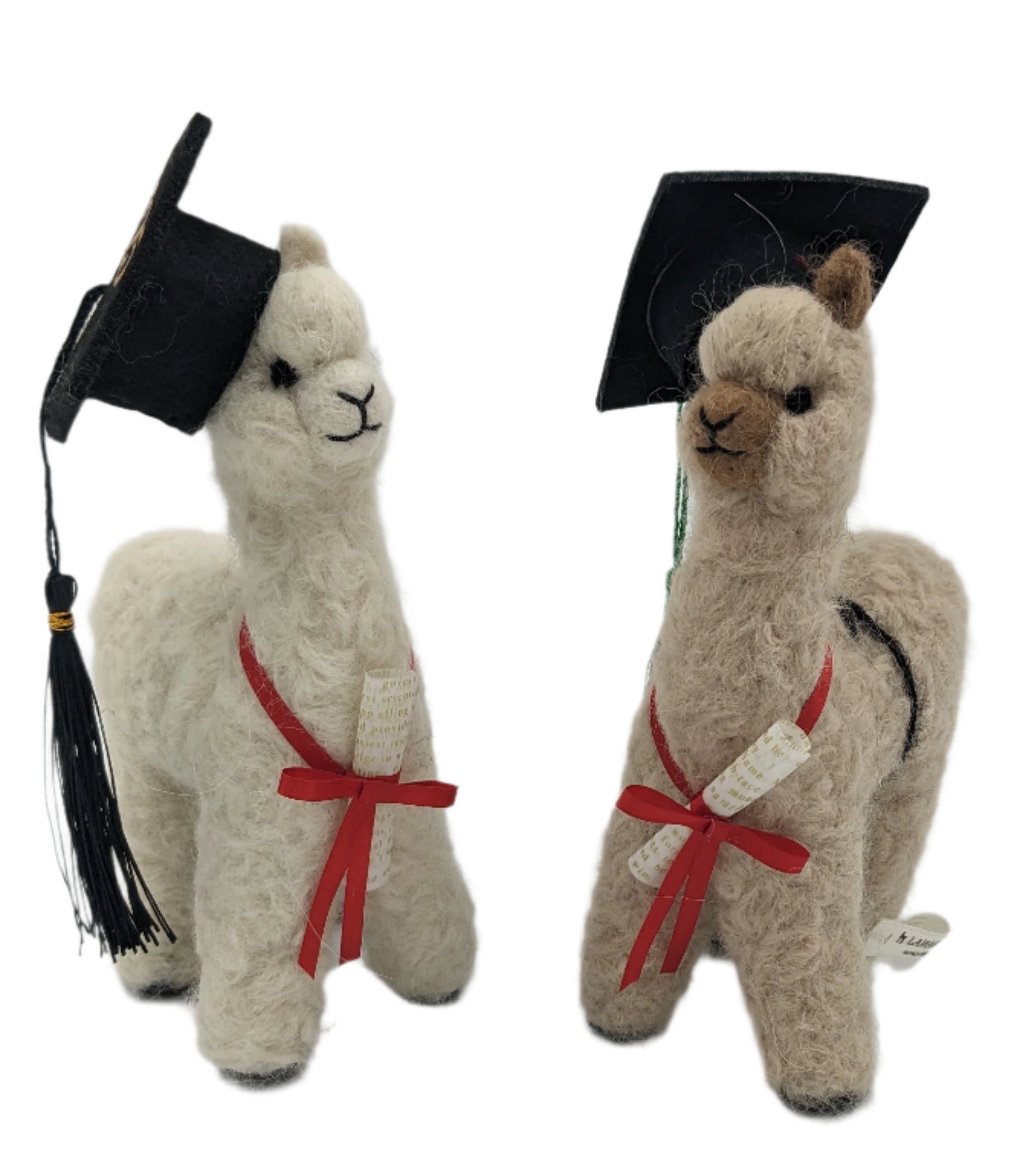 Graduation Alpaca