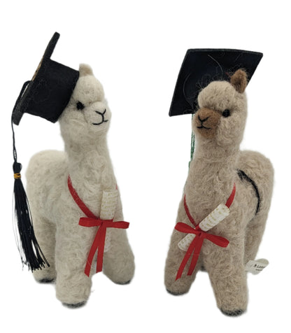 Graduation Alpaca