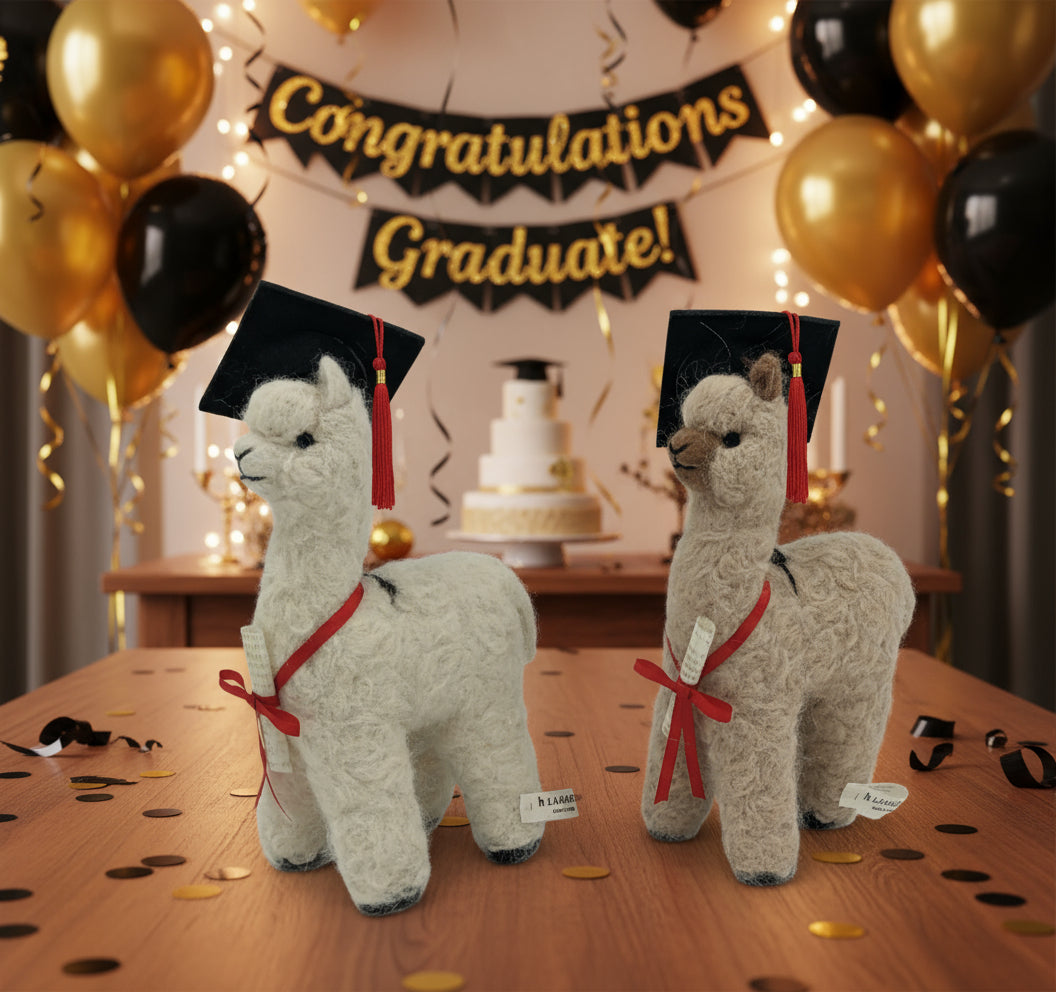 Graduation Alpaca - Lanart Alpaca