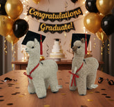 Graduation Alpaca - Lanart Alpaca