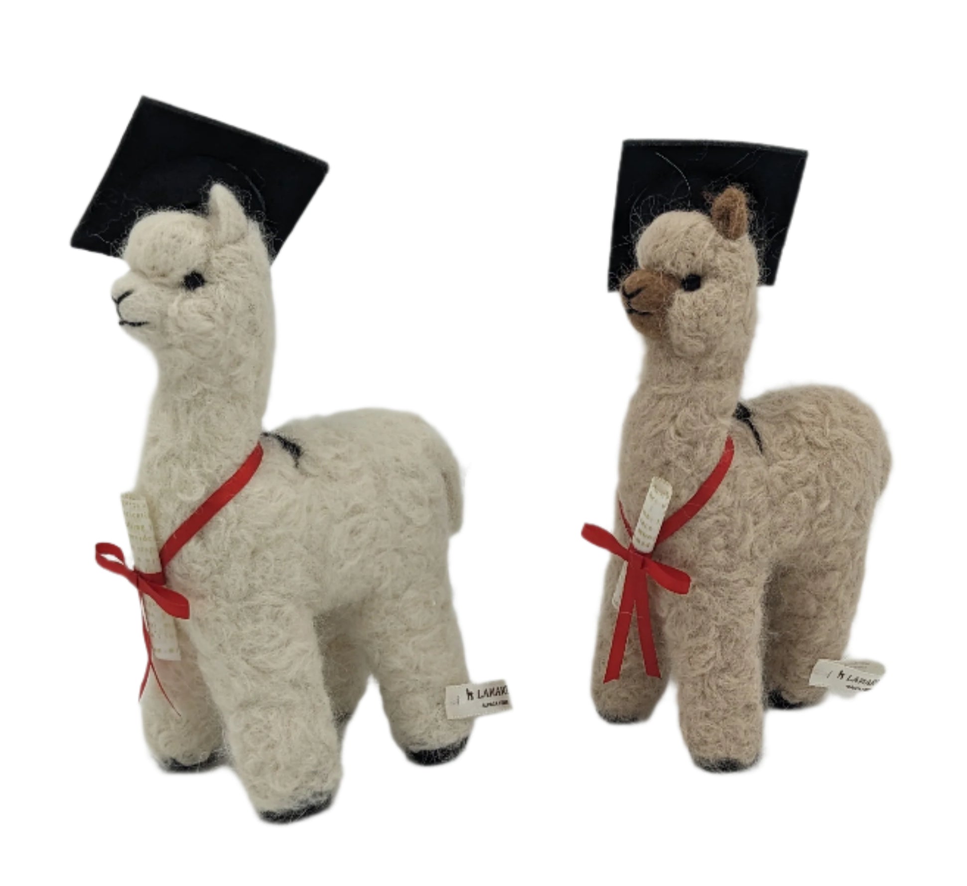 Graduation Alpaca