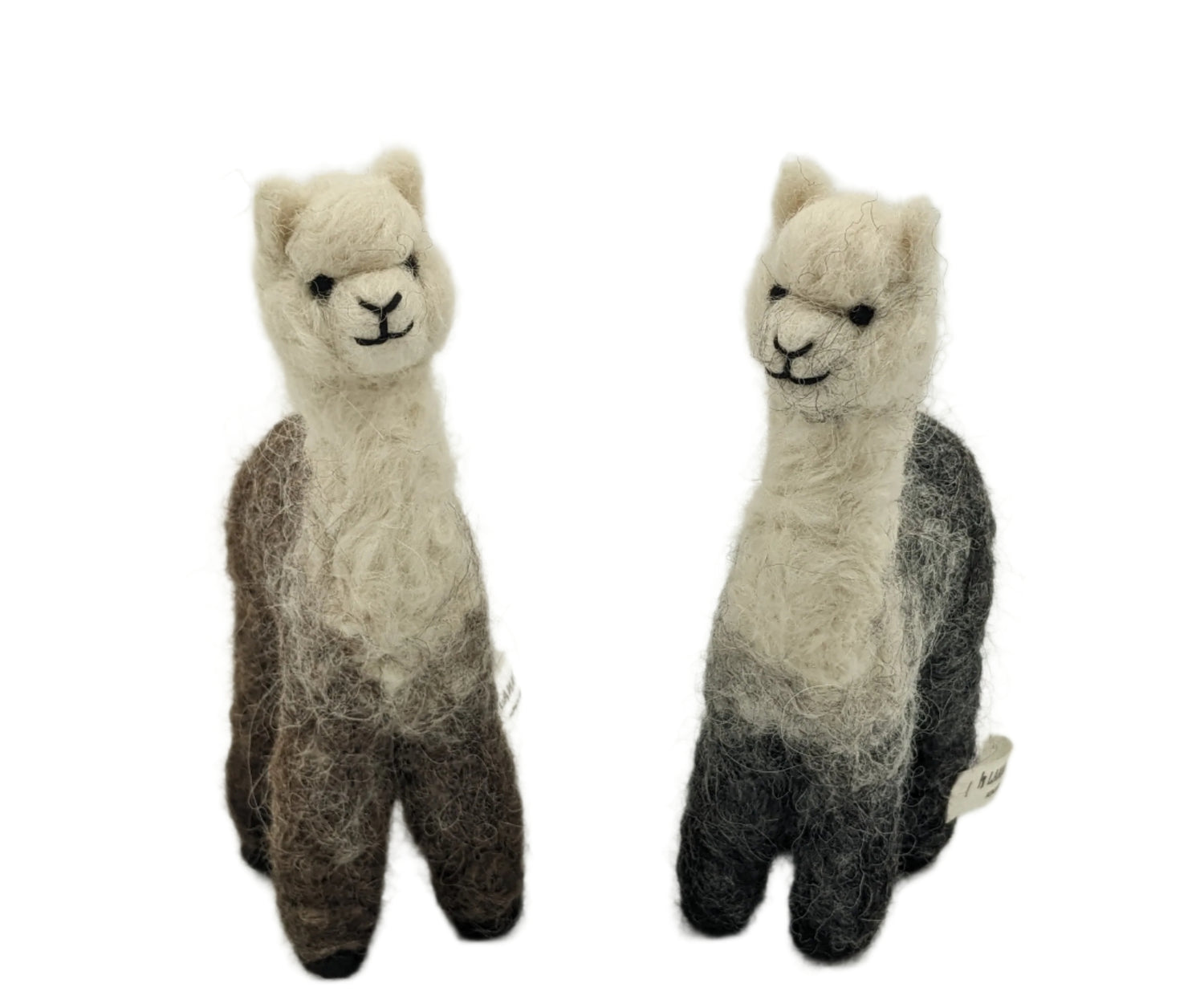 Cria Huacaya 5.5&quot;