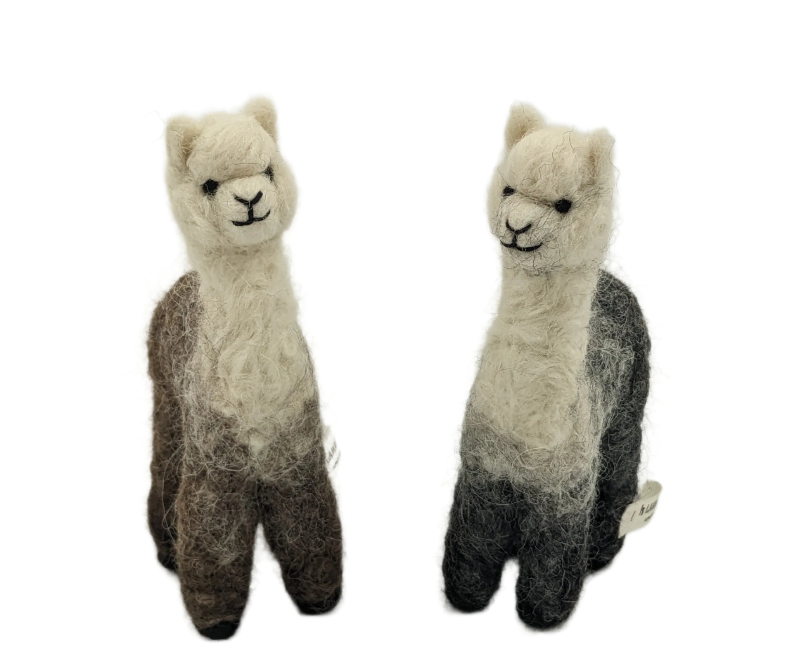 Cria Huacaya 5.5&quot;