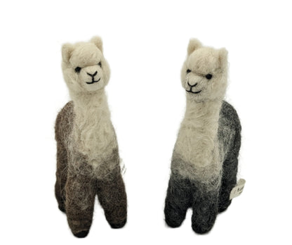 Cria Huacaya 5.5&quot;