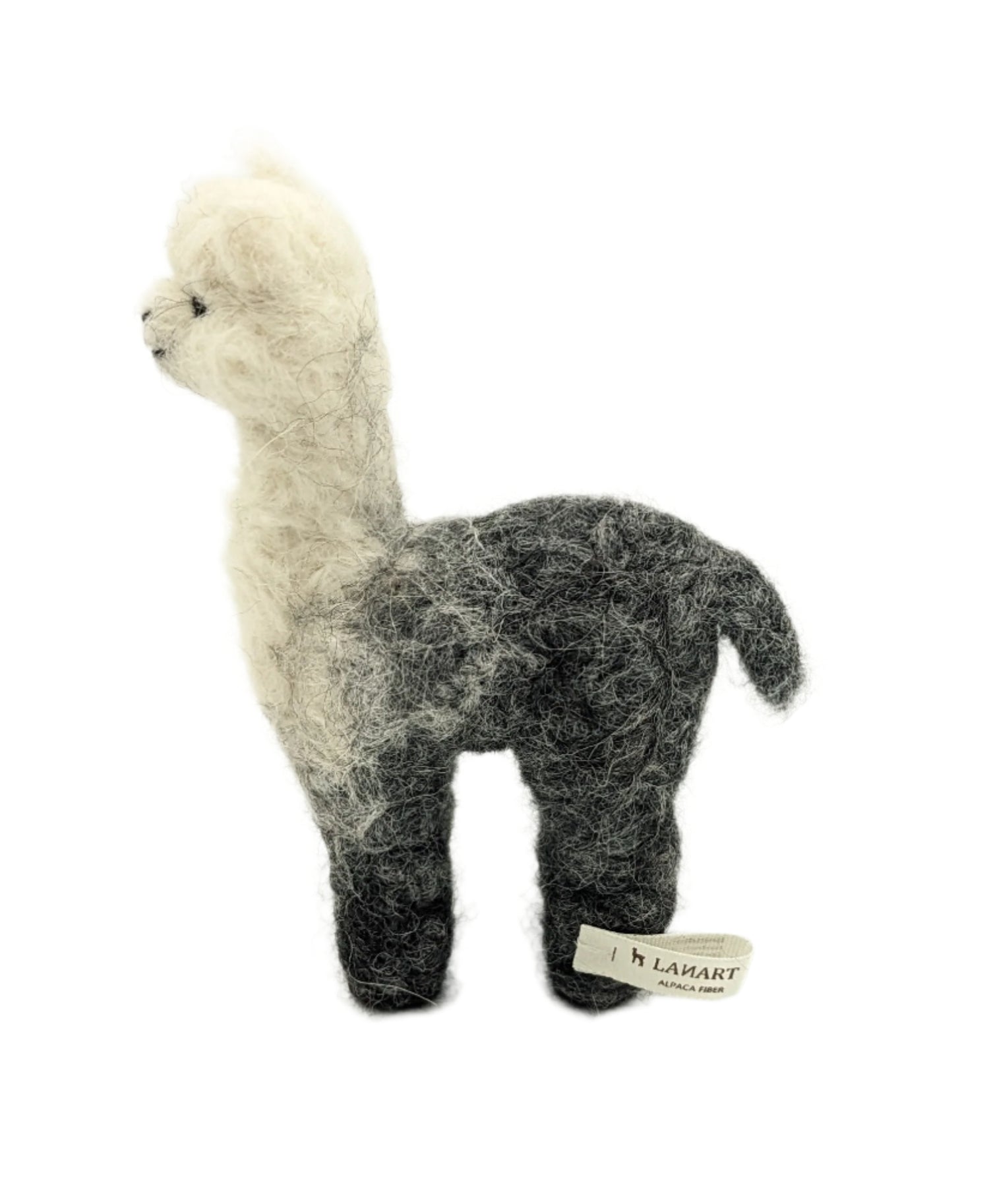 Cria Huacaya 5.5&quot;
