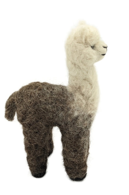 Cria Huacaya 5.5&quot;