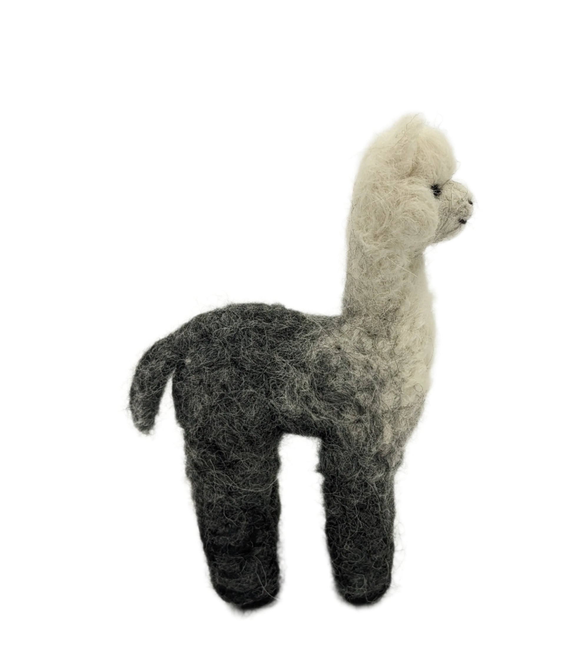 Cria Huacaya 5.5&quot;