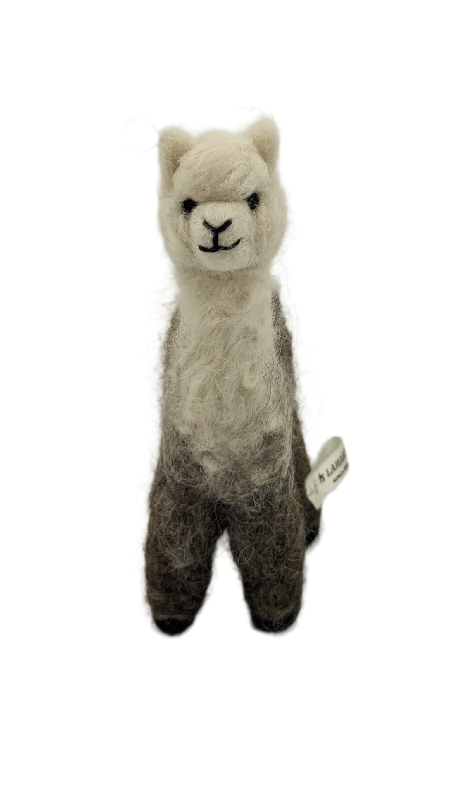 Cria Huacaya 5.5&quot;