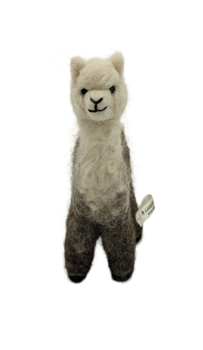 Cria Huacaya 5.5&quot;