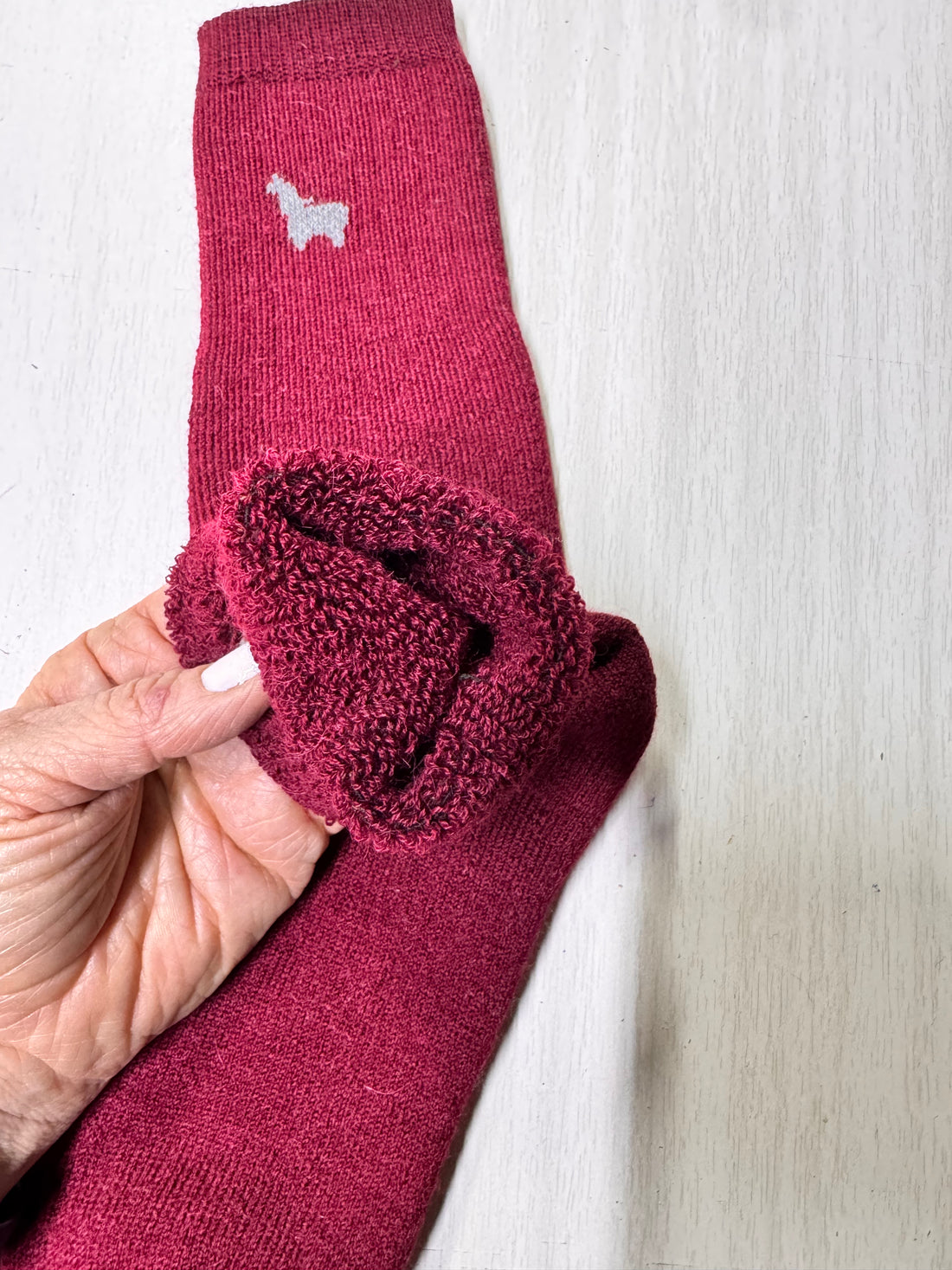 Hiker Socks Wine— Studio