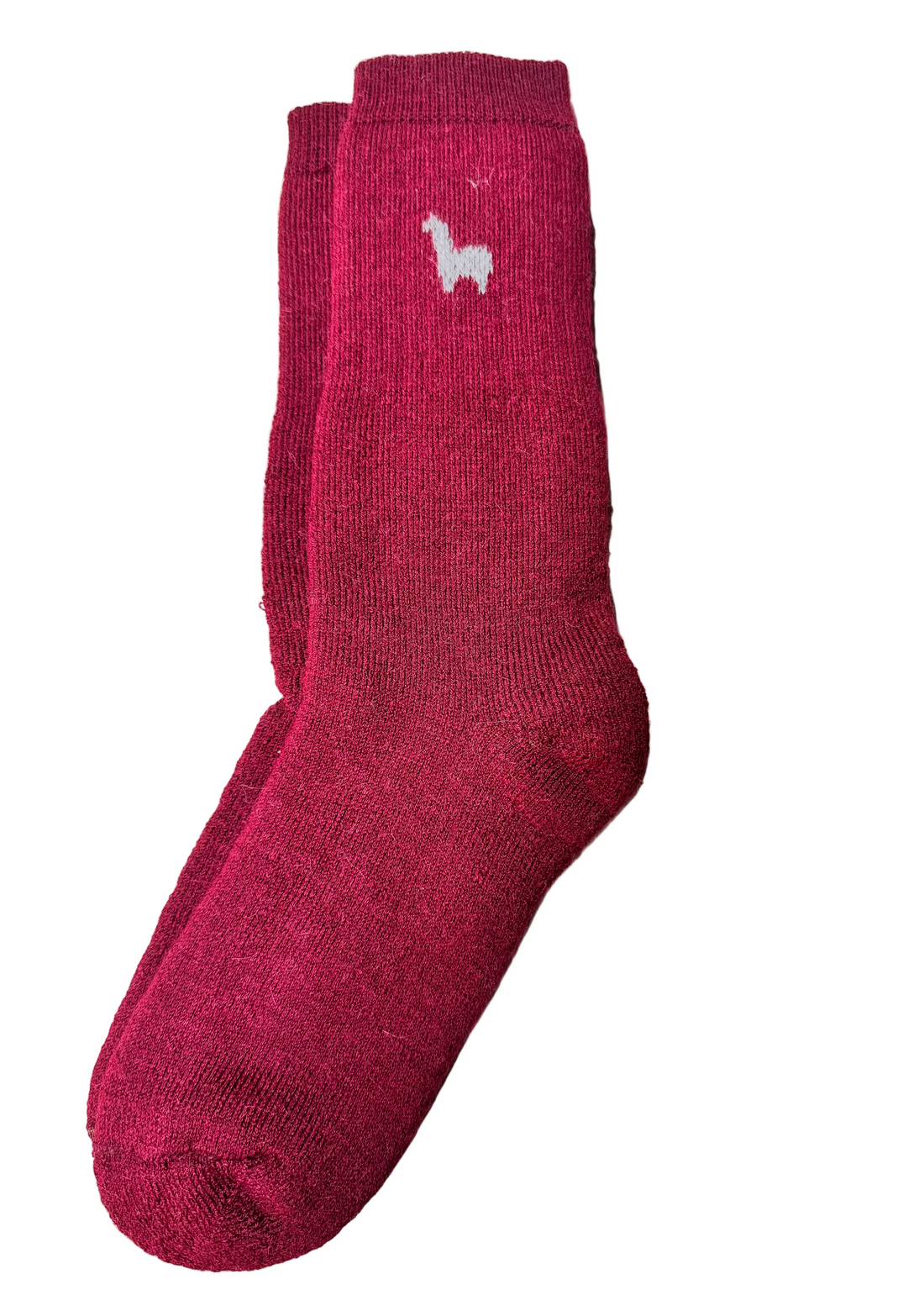 Hiker Socks Wine— Studio