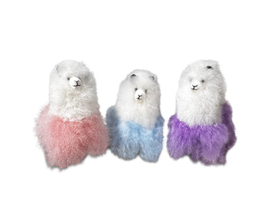 Chico Alpaca Bella: Plush Colorful