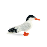 Arctic Tern - Lanart Alpaca