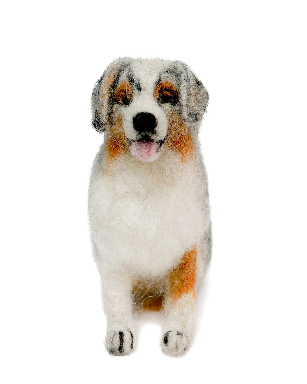 Australian Shepherd Dog