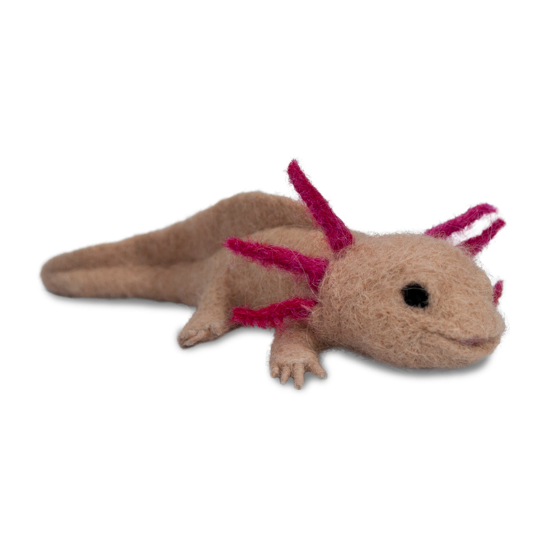 Axolotl