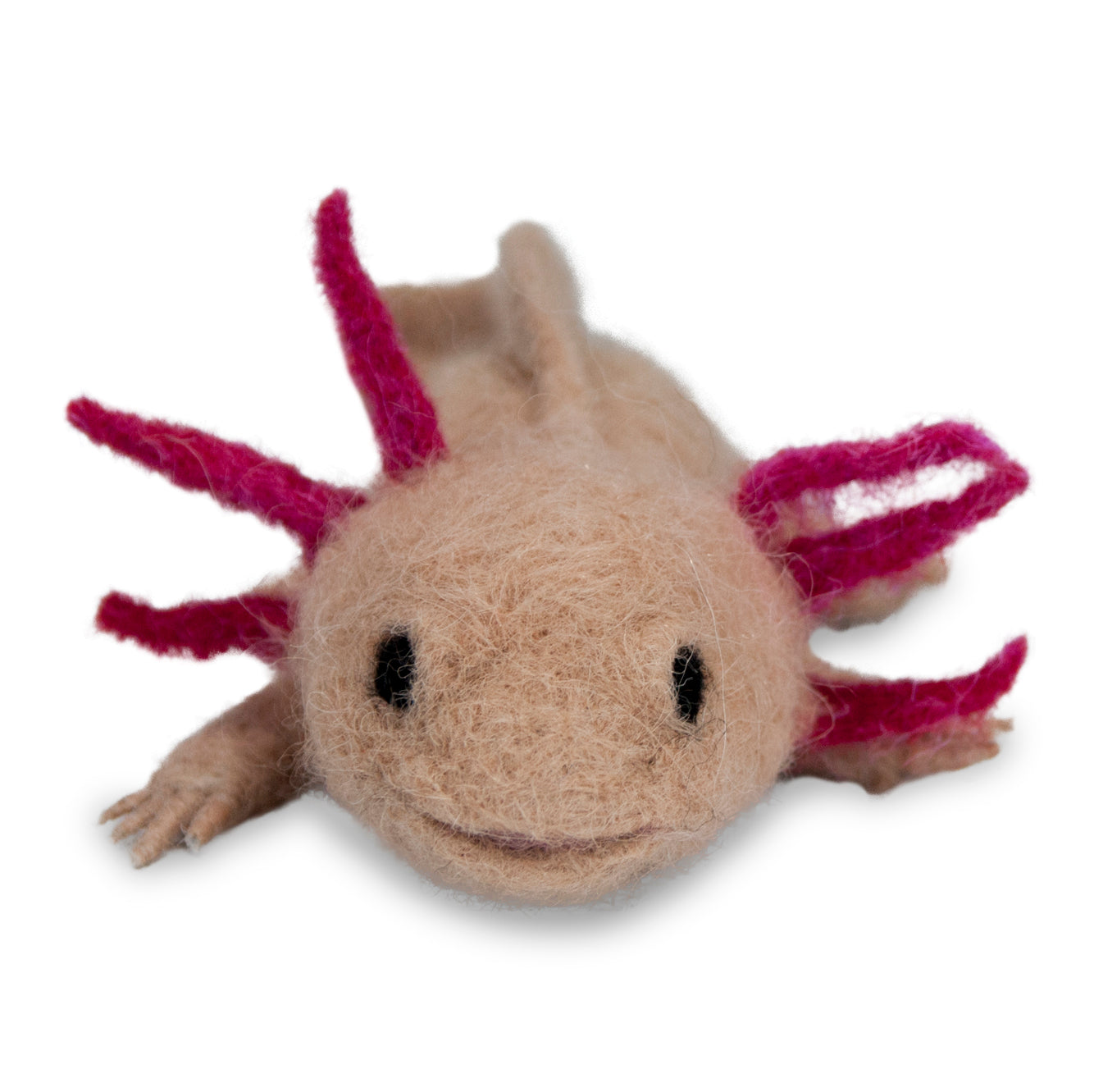 Axolotl