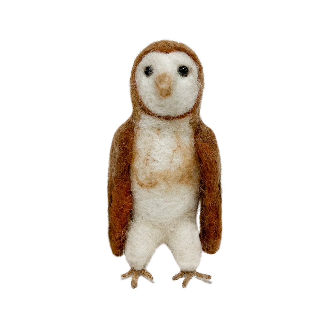 Barn Owl