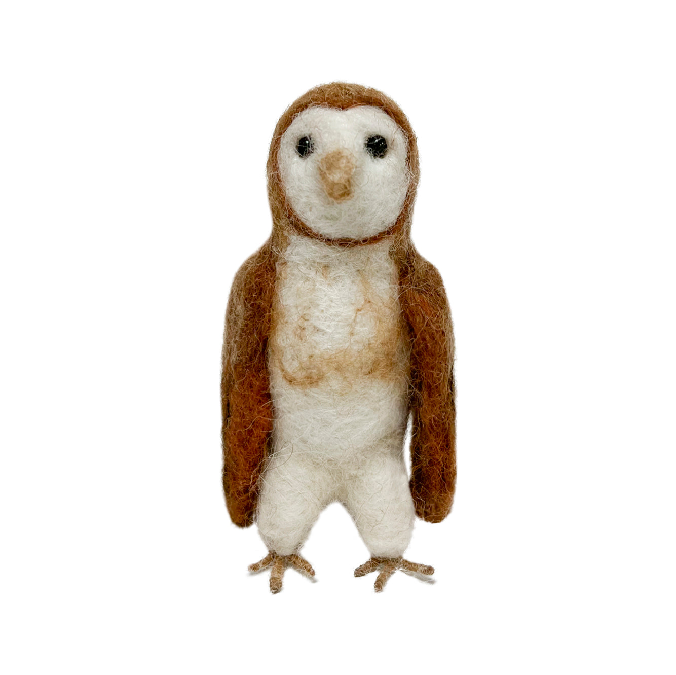 Barn Owl