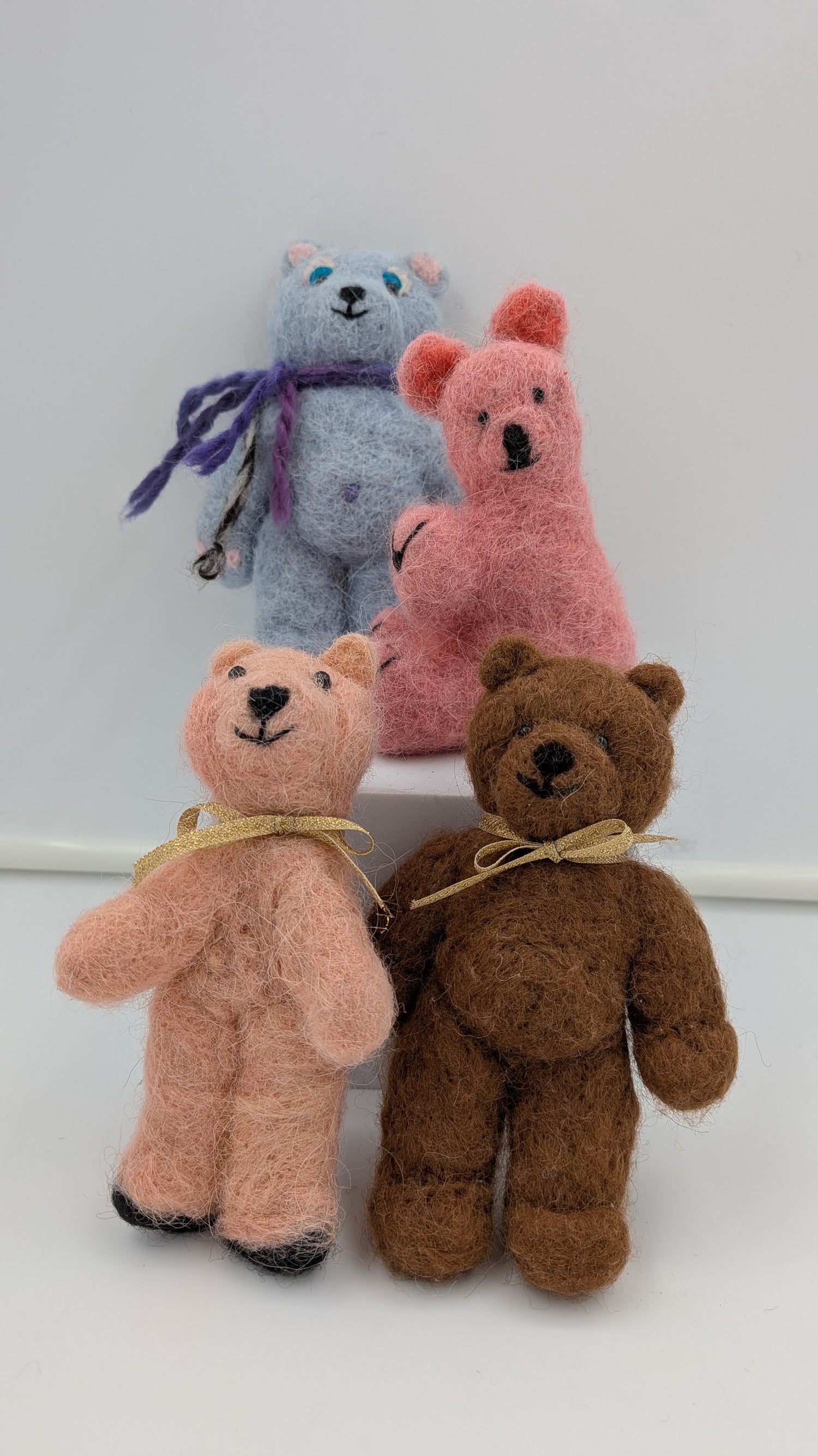 Bear Family Set — Studio