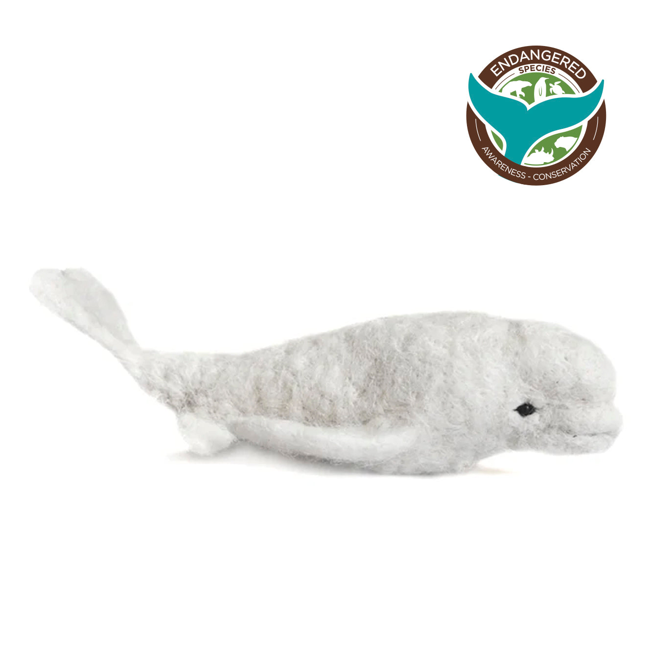 Beluga Whale