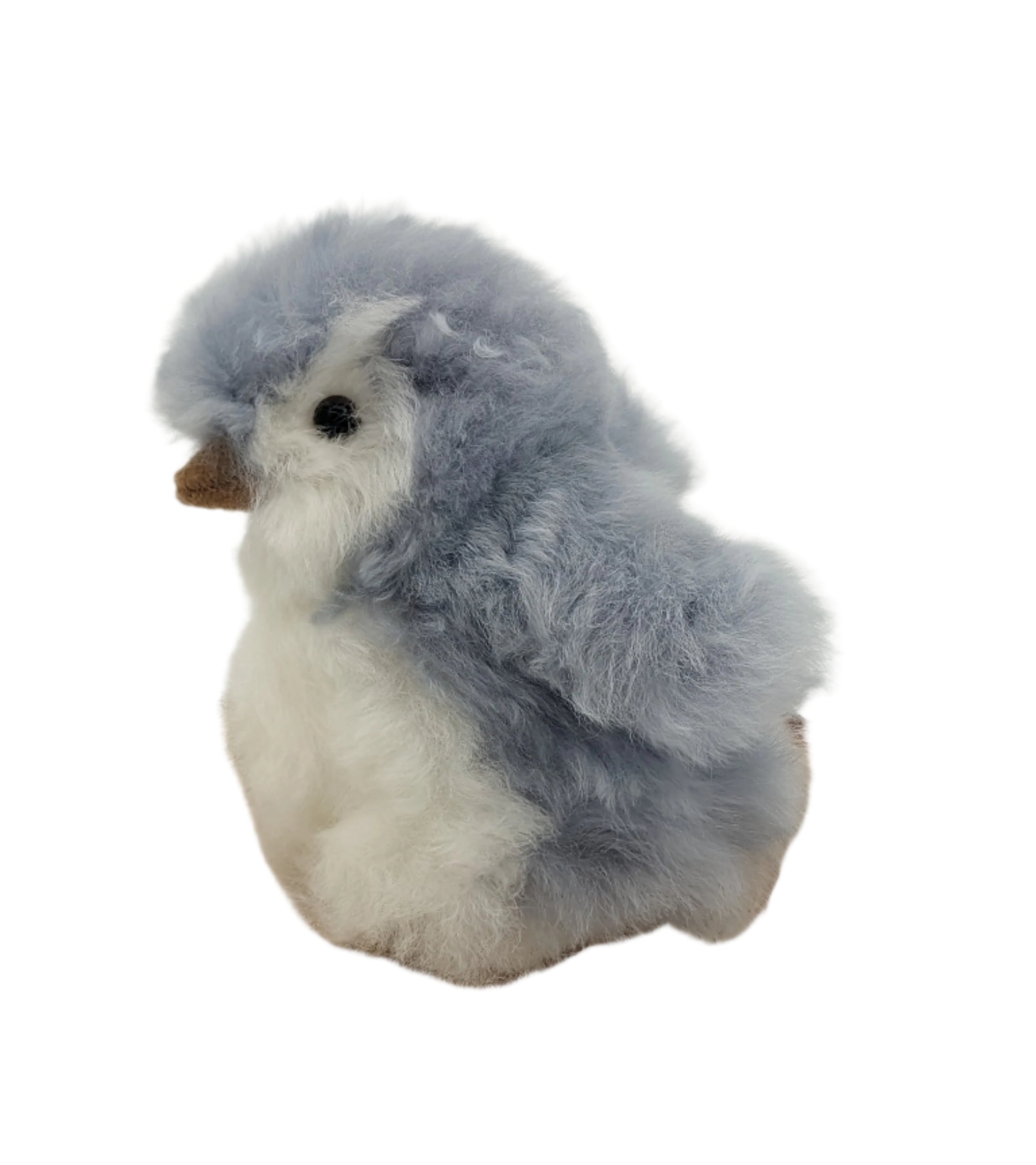 Chico Penguin
