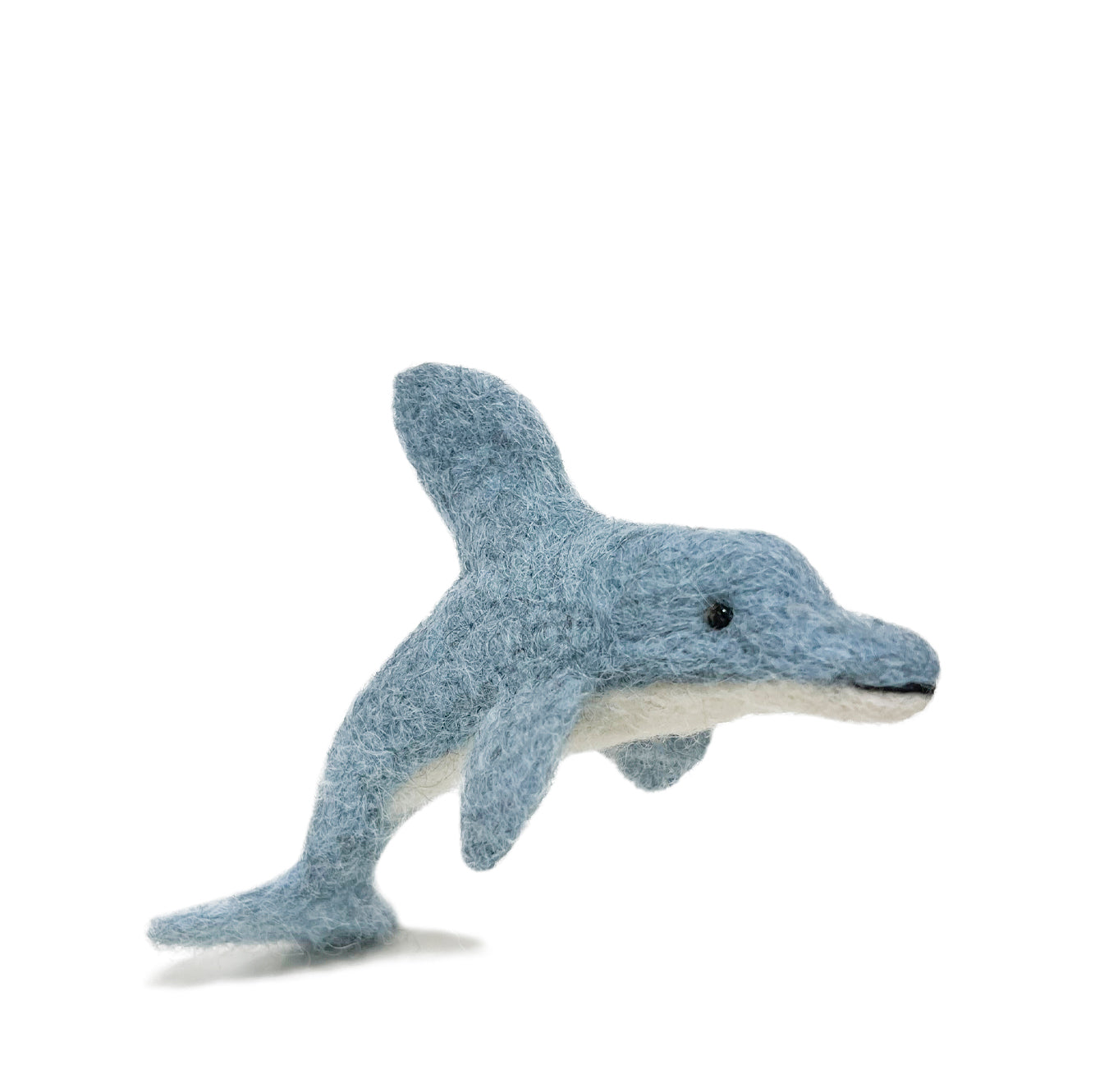 Bottlenose Dolphin