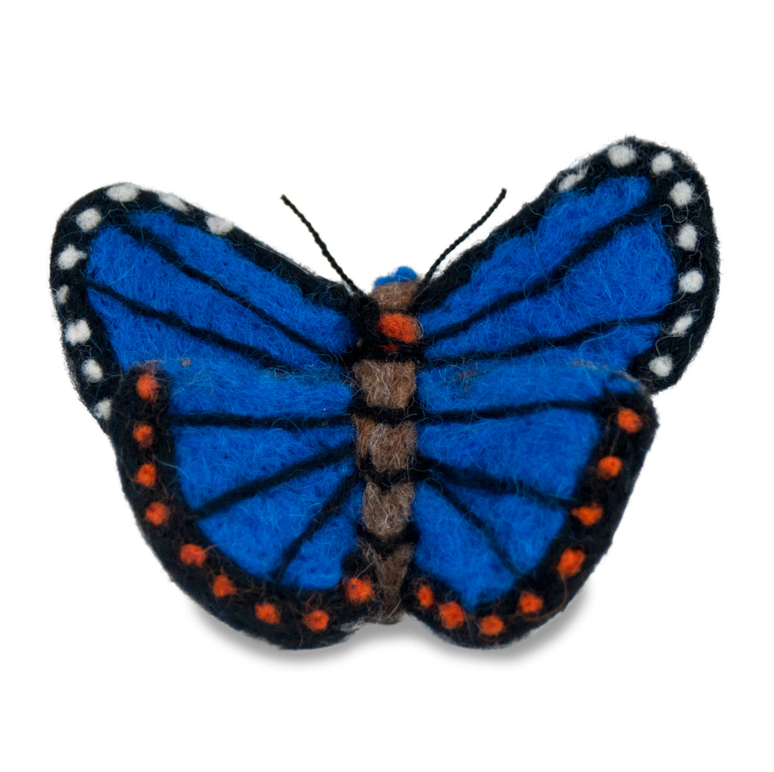 Butterfly Morpho