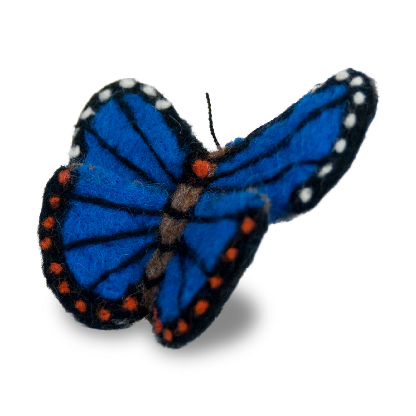 Butterfly Morpho