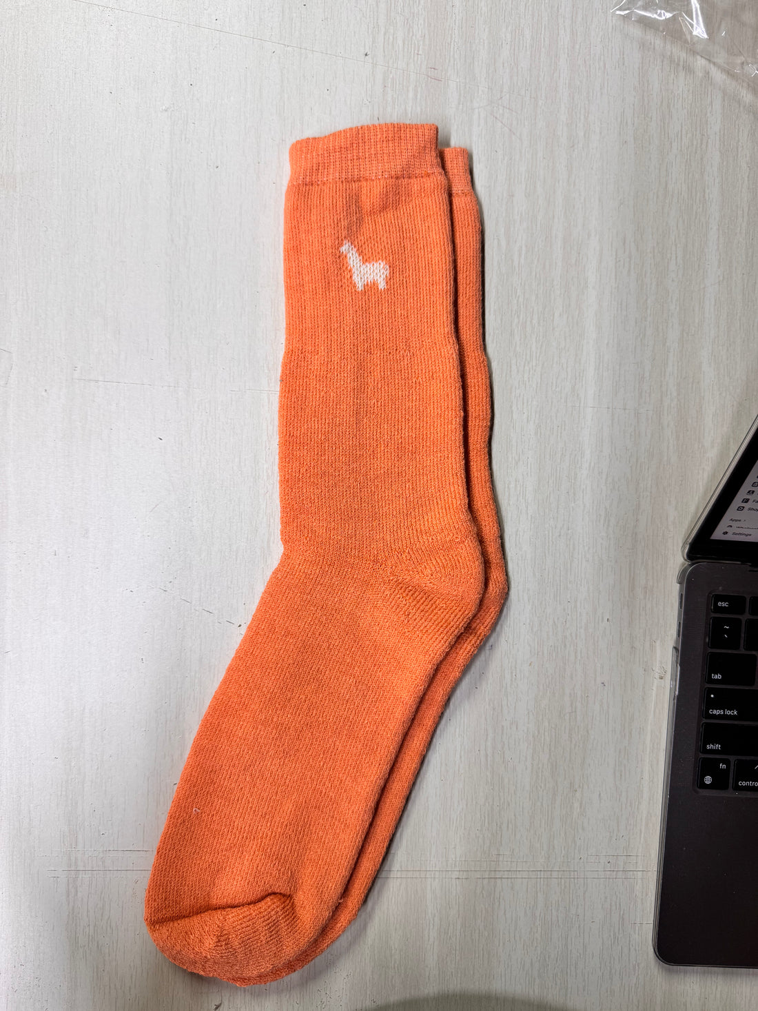 Hiker Socks Orange — Studio