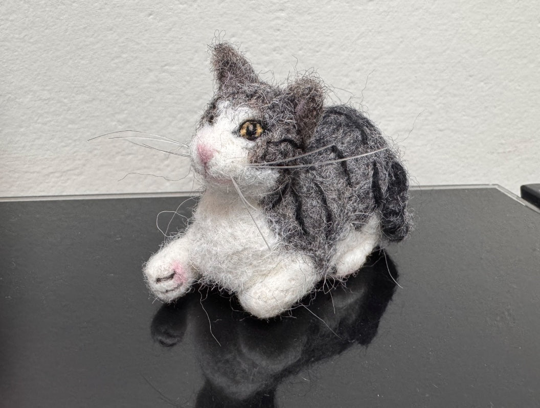 Raja: Silver Tabby Cat