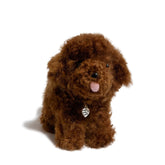 Chico Puppy - Lanart Alpaca