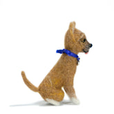 Chihuahua - Lanart Alpaca