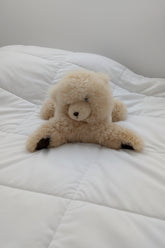 Beige teddy bear on a white background