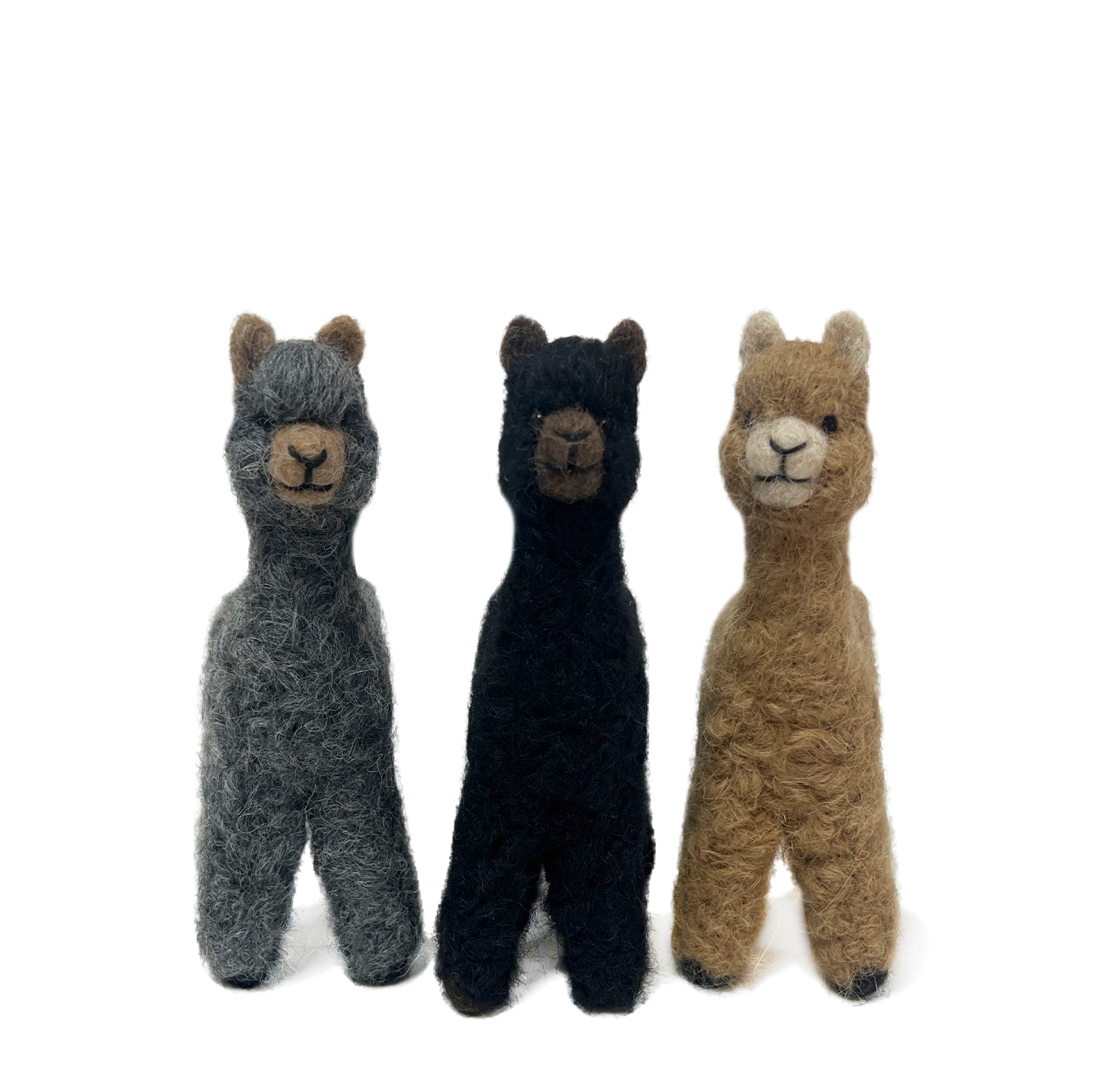 Cria Huacaya 5.5&quot;