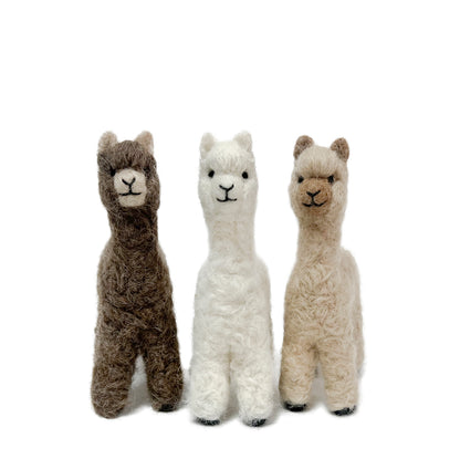 Cria Huacaya 5.5&quot;