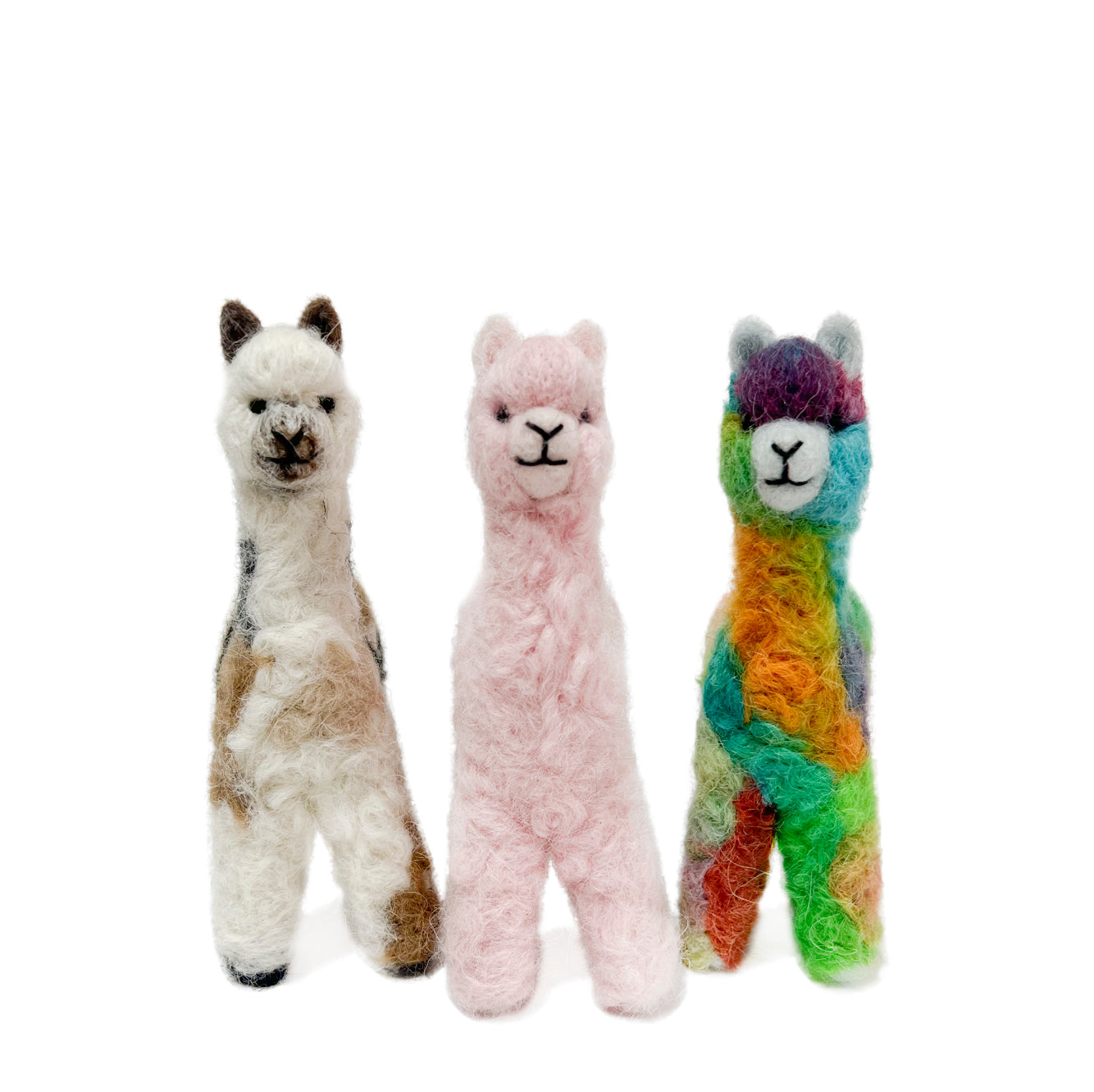 Cria Huacaya 5.5&quot;