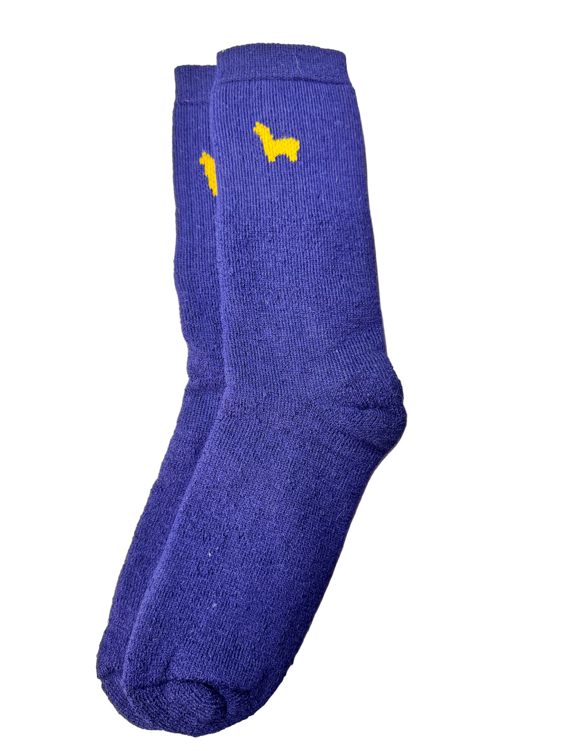 Hiker Socks Navy— Studio
