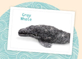 Gray Whale Banner