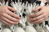 Collection of white plush toys with black accents arranged closely together.