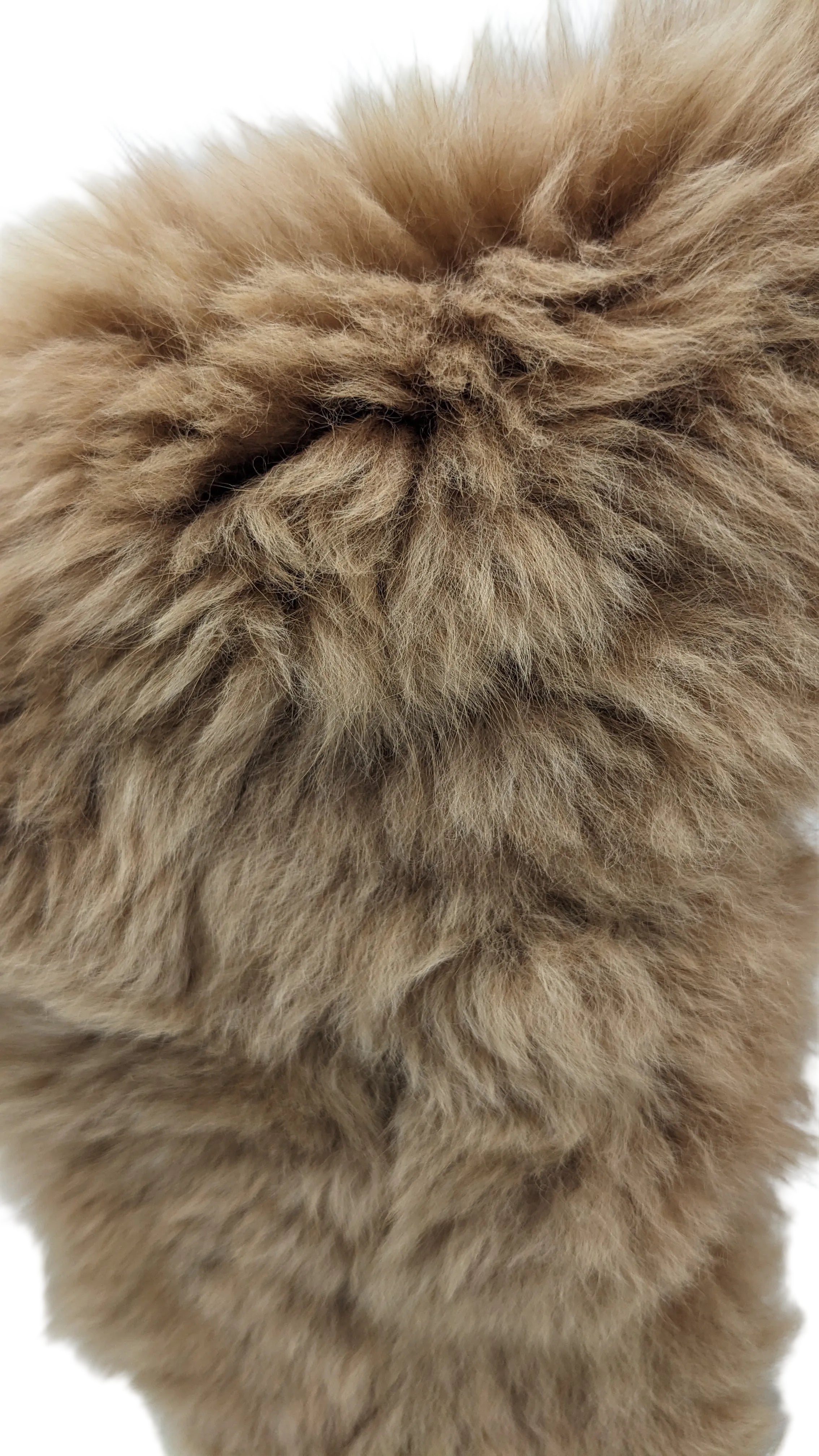 Alpaca Fur Collar: SAMPLE