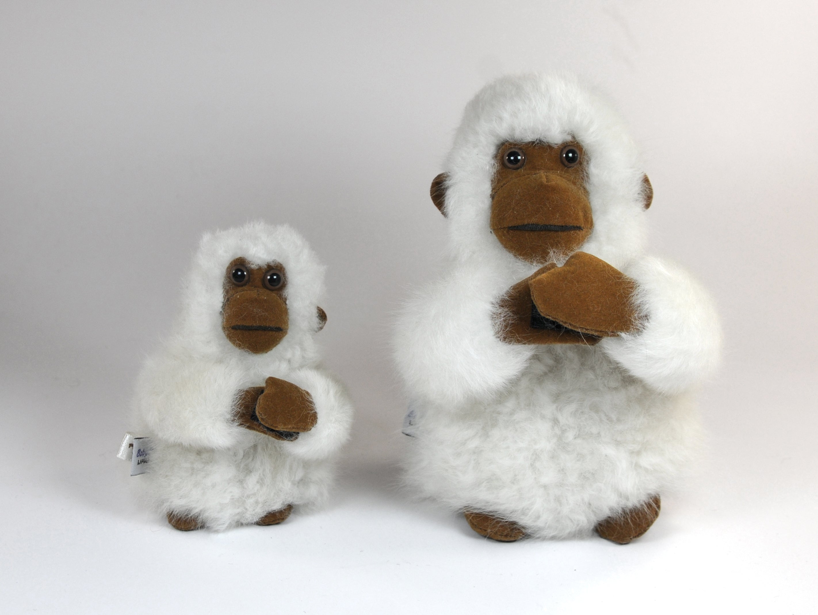 COMING SOON! Chico Monkey