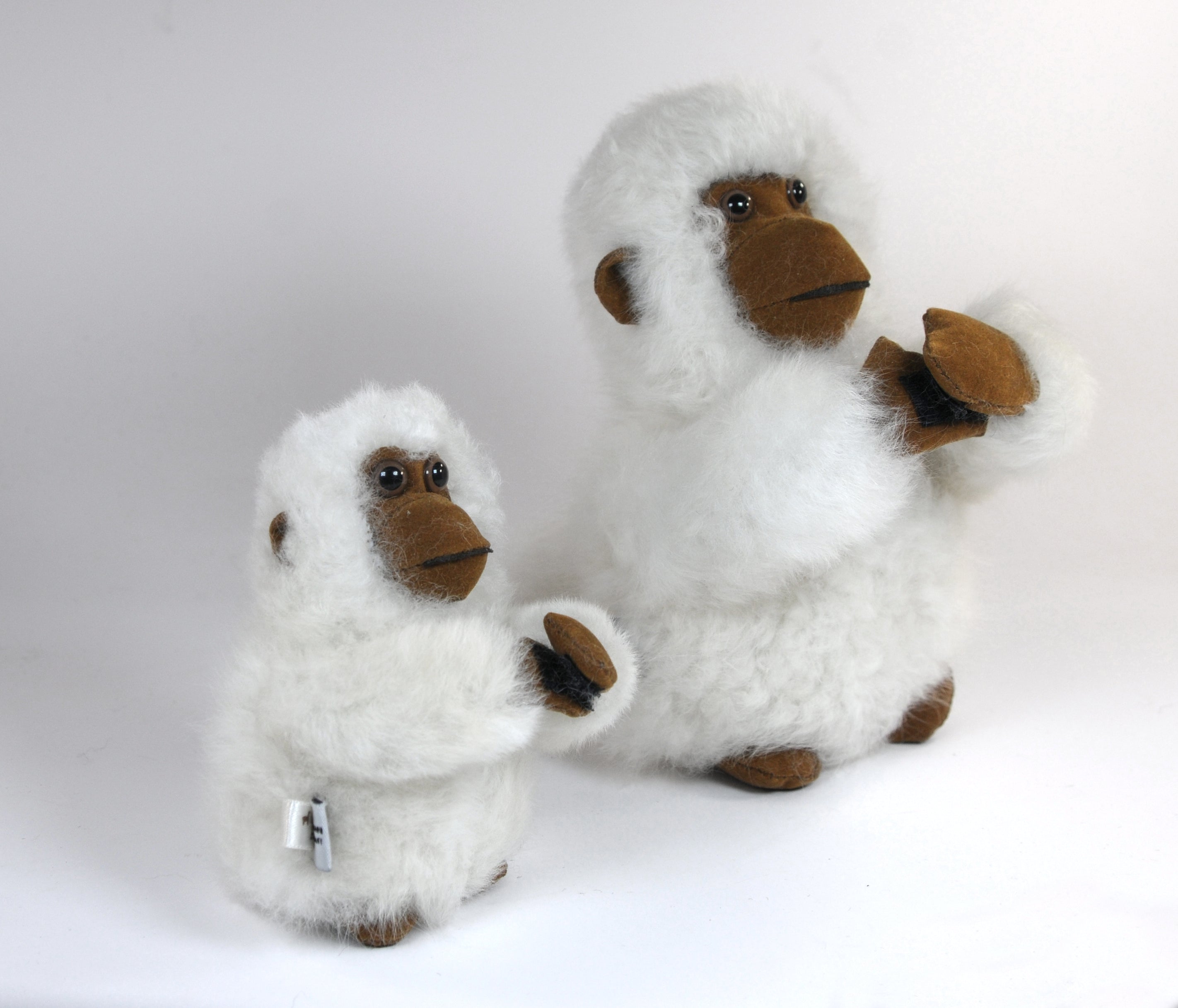 COMING SOON! Chico Monkey