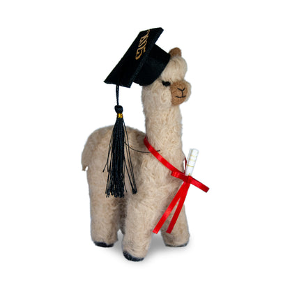 Graduation Alpaca
