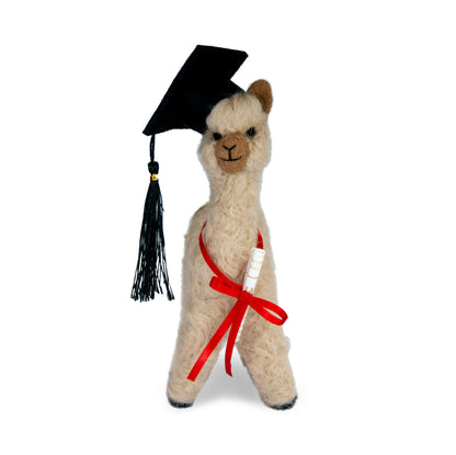 Graduation Alpaca