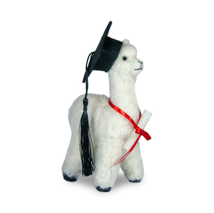 Graduation Alpaca