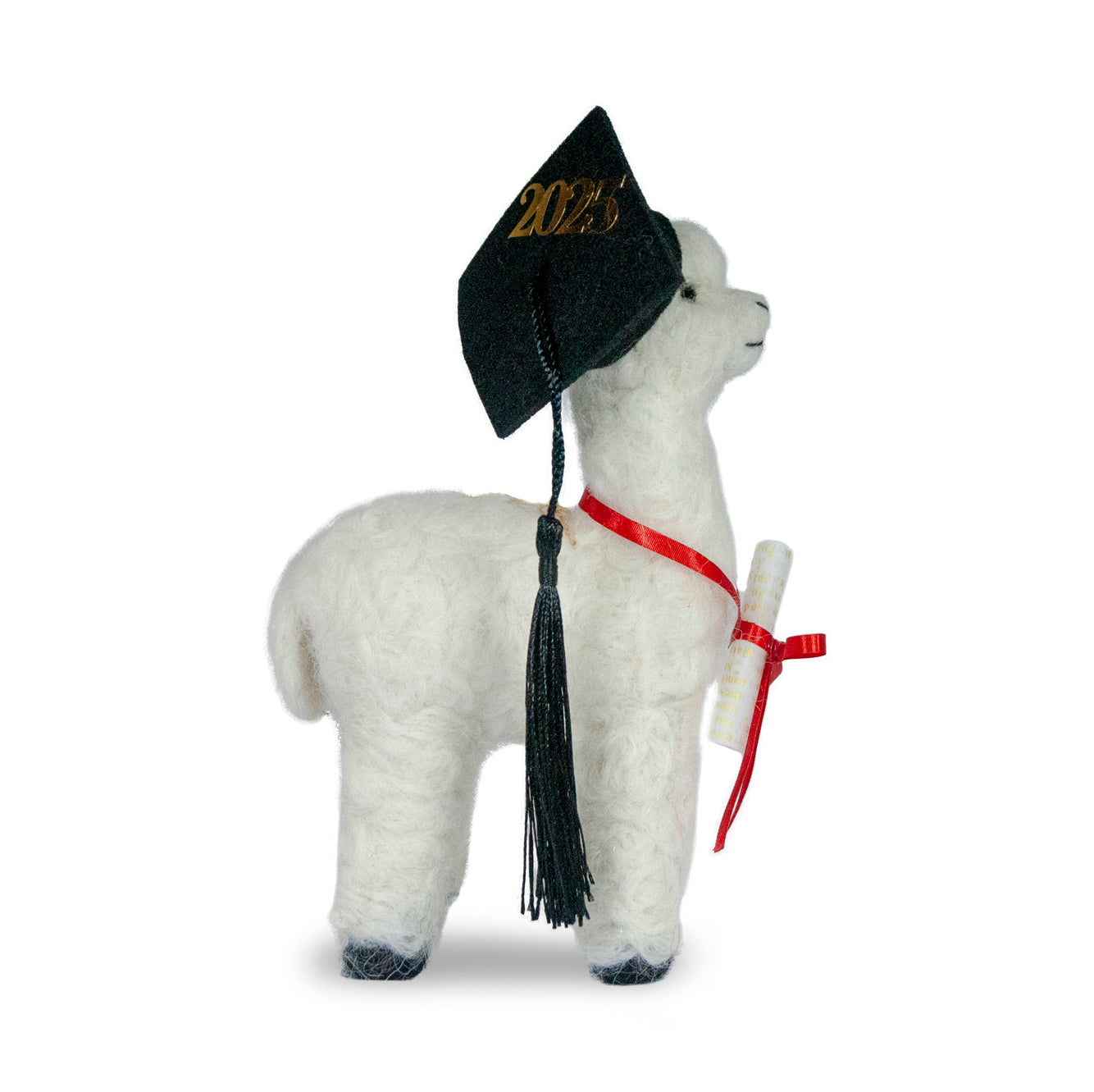 Graduation Alpaca