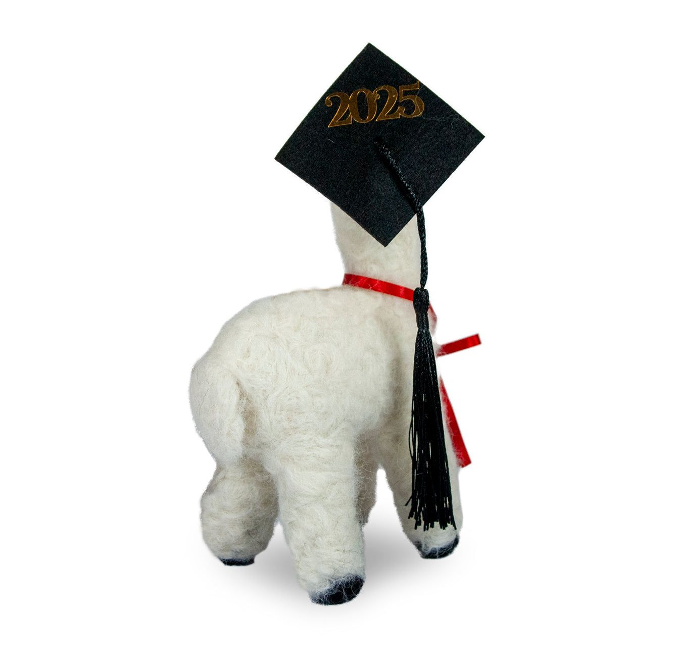 Graduation Alpaca