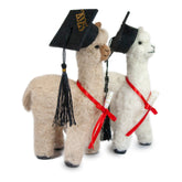 Graduation Alpaca - Lanart Alpaca